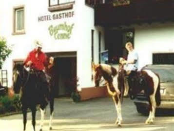 Hotel- Landgasthof Baumhof-Tenne Marktheidenfeld Exteriör bild